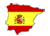 C G TRANS - Espanol